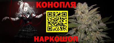 сатива Новодвинск
