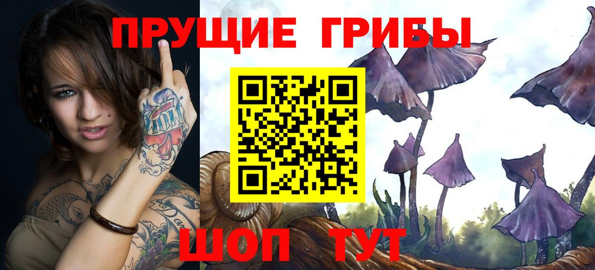 Ульяновск  Галлюциногенные грибы мицелий  Псилоцибиновые грибы Magic Shrooms  Вход с VPN 