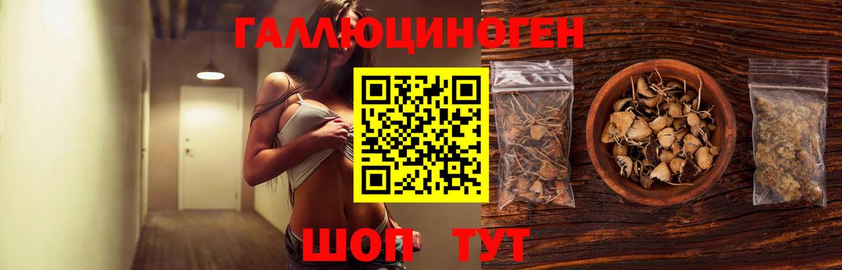 Псилоцибиновые грибы GOLDEN TEACHER Ульяновск